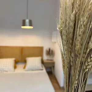 4m Studio Appartement